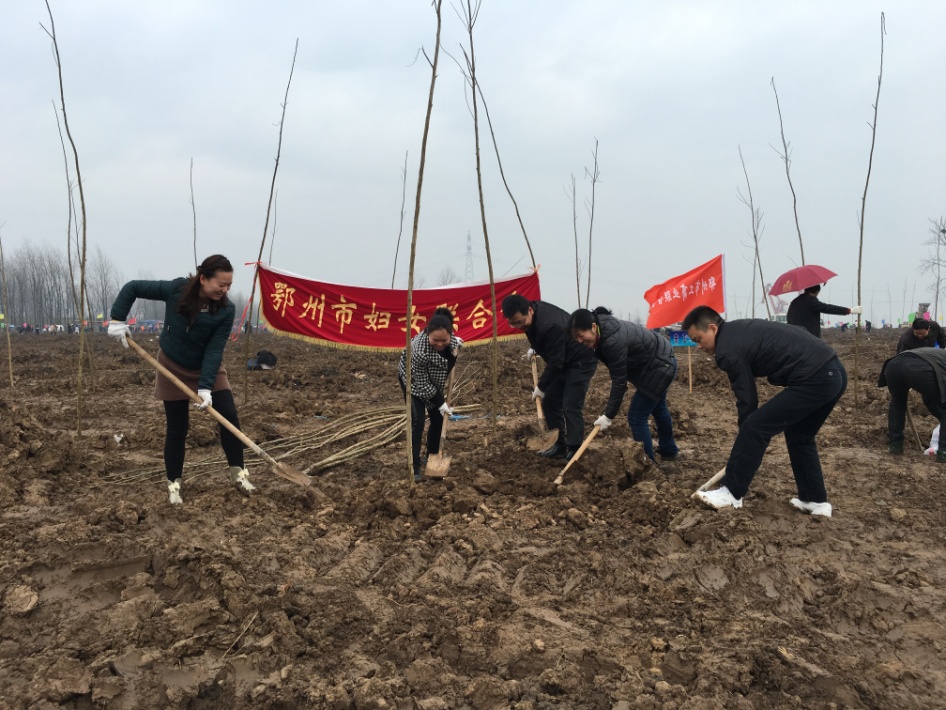 市妇女儿童活动中心工作人员到杨叶镇三浃村昌大堤外江滩参加全市机关